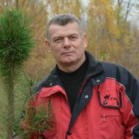 Отзыв от Иннокентий - DTV виза